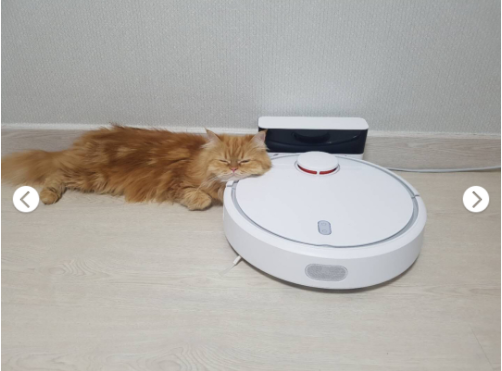掃地機器人